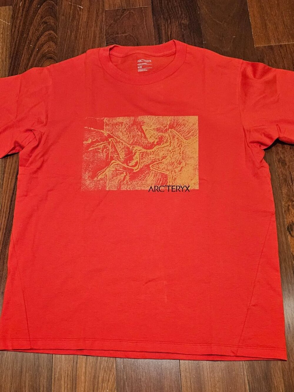 Arcteryx Men's Kragg Cotton Lithographics SS Tee DYNASTY Size M - NWOT